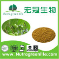 organic olive leaf extract with 40% oleuropein for medicine and cosmetic